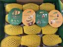 佳沛（zespri）新西兰 阳光金奇异果12粒特大果单果124-146g 猕猴桃水果礼盒 实拍图