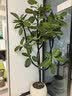 叹为观止大型植物发财树各种大颗盆栽开业乔迁客厅办公室内好养大型花卉 S级孟加拉榕1.3—1.6米【圆球盆】 含盆 实拍图