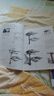 经典全集《兴趣学素描风景》画册书临摹范本速写教程材书籍零基础自学建筑山水写生照纯手绘美术钢笔入门 实拍图