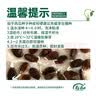 寿禾懒汉西瓜种子苗特大瓜阳台盆栽种水果籽 潍常懒汉王西瓜种子60粒 实拍图