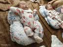 贝瑞加（Babyprints）婴儿连体衣2件装新生儿长袖四季哈衣纯棉爬服护肚蝴蝶衣 粉59 实拍图