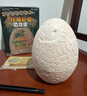 马丁兄弟儿童考古挖掘恐龙玩具夜光恐龙化石恐龙蛋手工玩具生日礼物 实拍图