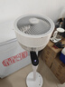 艾美特（AIRMATE）【天鹅MAX】空气循环扇直流变频家用大风力电风扇卧室轻音一级能效负离子净化语音落地扇 SRDI151 实拍图