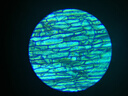 科学罐头（Science  can）六一儿童节礼物显微镜生日学生便携男女孩6-12岁益智玩具户外礼盒 实拍图