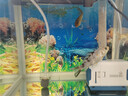 森森耀蓝鱼缸水泵小型潜水泵过滤泵抽水泵YQP-1000 15W 实拍图