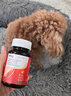 麦德氏IN狗狗钙片约380片宠物狗补钙幼犬成犬老年犬健骨补钙大型犬 实拍图
