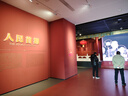得力（deli）4900SP人体工学靠背电脑椅 舒适后仰办公椅 可升降舒棉坐垫 灰 实拍图