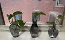 京东鲜花新中式陶瓷花瓶客厅高级感花器摆件装饰水培插花鲜花复古田园风 实拍图