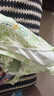 欢喜小熊儿童外套宝宝夏季薄款透气上衣婴儿初秋外出服新款遮阳衣服 实拍图
