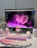 SANC盛色23.8英寸300Hz超频硬件低蓝光FastIPS电竞显示器HDR400亮度小夜灯 电脑屏幕 N50Pro6高性能版 实拍图