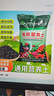 思威博营养土种菜土花土通用型有机种花养花土壤种植土泥土绿植盆栽泥炭 100斤有机通用营养土 实拍图