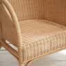 诺顿 伯格印尼藤编单人椅民宿家用藤椅阳台花园休闲椅真藤靠背椅圈椅洽谈椅 Cabello休闲椅｜【原装进口】 晒单实拍图