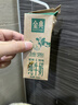 伊利金典纯牛奶 250ml*12盒 3.6g乳蛋白原生高钙 礼盒装 实拍图