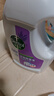 滴露（Dettol）衣物消毒液除菌柠檬3L 99.9%杀菌除螨内衣儿童衣服消毒水配洗衣液 实拍图