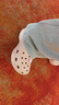 卡骆驰（CROCS）经典云朵Clog男女沙滩洞洞鞋凉拖鞋 206750-6UR 36 实拍图