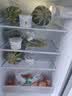 志高电冰箱双门家用节能冰箱出租屋冷藏冷冻环保迷你冰箱办公室公寓租房宿舍低噪电冰箱 【配置升级102L加厚款】银色一级能效S192 实拍图