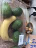 京鲜生 秘鲁牛油果6粒装(非即食)单果重130g起 生鲜水果 实拍图