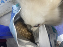 伯纳天纯鸭肉梨冻干三拼全价狗粮中大型犬小型犬成年犬粮10kg/20斤 实拍图