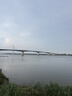 德玛纳【干爽棉氨】夏季气质印花圆领修身短袖打底衫短款小个子女式t恤 实拍图