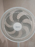 美的（Midea） 电风扇 家用风扇7叶落地扇立式轻音节能大风量电扇台扇迷你扇台立两用转页扇空气循环扇安静低音 店长推荐丨7叶劲风 百万单·SAF30AC 家用落地扇 实拍图