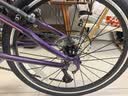 大行（DAHON）折叠自行车20英寸18速SP18公路折叠车KAC083 紫色 实拍图
