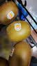 佳沛（zespri）新西兰阳光金奇异果巨大果22粒原箱单果146-175g 猕猴桃水果礼盒 实拍图