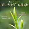 一杯香茶叶绿茶徽明正宗前黄山毛峰500g2026新茶春茶礼盒装自己喝散装 实拍图