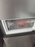容声255L【253升级款】三门冰箱小户型超薄家用冰箱一级能效风冷无霜小出租房国家补贴26年新款冰箱 实拍图