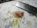京东京造 巨实用刀具全套 菜刀菜板套装厨房水果刀瓜刨剪刀 5件套 实拍图