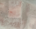 龙大肉食黑猪肋排400g 冷冻免切黑猪排骨猪肋骨 酱卤食材 烧烤黑猪肉 生鲜 实拍图