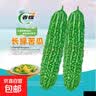 春蝶蔬菜种子四季播盆栽阳台庭院黄瓜豆角番茄甜瓜易种籽孑大全 长绿苦瓜【1包约10粒】 一包(试种贵在快递费) 实拍图