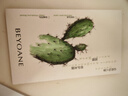 喷雾瓶旅行分装瓶透明花露水香水酒精便携塑料按压小喷壶消毒小型 30ML【1瓶】 实拍图
