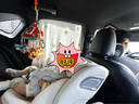 Heekin引领者儿童安全座椅汽车用0-12岁婴儿宝宝车载可坐躺智能通风加热 青提绿-智能(语音通风加热+单手旋转+不窝脖+175°躺) 实拍图