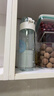 babycare儿童保温杯婴儿宝宝吸管水杯霸王龙不锈钢保温杯300ml-新旧款混发 实拍图