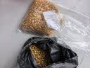 爆米花玉米粒 家用自做球形爆米花原料爆裂玉米豆干玉米粒 爆米花玉米1000克 实拍图