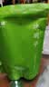 福茗源花草茶 决明子500g  特级品质大颗粒炒熟无杂质养生茶菊花决明子 实拍图
