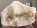 广州酒家生肉包750g 20个 早餐半成品广式早茶点心包子食品速冻面点生鲜 实拍图