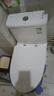 九牧（JOMOO）11173-2-1/41KD-3大力神普通马桶家用虹吸抗菌节水坐便器400坑距 实拍图