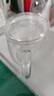 物生物（RELEA）玻璃杯男女士茶水分离杯耐高温办公泡茶杯带把高硼硅水杯花茶杯子 实拍图
