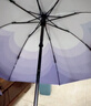 RUMBRELLA日全时智能电动雨伞全自动一键全收遮阳晴雨两用防晒防紫外线伞 实拍图