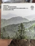 希望树二代小绿罐除甲醛果冻除醛魔盒3罐装 foh新房甲醛清除剂真除醛 实拍图