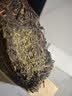 百年木仓中粮中茶茶叶 安化黑茶 金花茯砖茶 工夫手筑1kg 茶叶自己喝送礼 实拍图