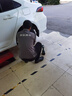 马牌（Continental）汽车轮胎 195/65R15 91V CC7 # 适配大众朗逸/宝来/丰田雷凌 实拍图