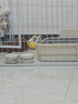 HONEYCARE好命家宠物尿垫狗狗尿不湿全吸收定制款 加厚狗尿片M码45*60cm 实拍图