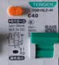 天正电气（TENGEN）小型漏电断路器漏保家用空开双进双出TGB1NLE-40 1P+N C20 30mA 实拍图