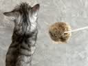 HELLOJOY猫玩具天然兔毛球猫薄荷丰容玩具小猫逗猫棒猫咪玩具自嗨解闷神器 实拍图