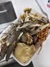 甄菌子松茸羊肚菌菇菌汤包60g*2 八珍煲汤炖鸡云南特产火锅食材南北干货 实拍图