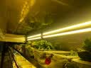 银铮麻辣烫展示柜冷藏冰箱保鲜柜双开门透明玻璃冷冻商用冰柜串串点菜柜烧烤凉菜风冷无霜冷鲜柜1.8米 通用个性化定制【尺寸颜色款式均可定制】 实拍图