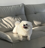 红卫皂米洗衣粉家庭衣服清洁去污有效抑菌祛渍贴身内衣裤洗衣皂粉桶装 红卫皂米 500g*3桶 【划算装】 实拍图