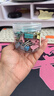 晨光(M&G)文具6#15mm 60只/罐 彩色长尾夹 小号金属票据夹 经济型办公用品燕尾夹ABS916J6 实拍图